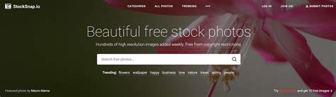 Here, you'll find images from flickr to. 10 Best Royalty Free Stock Photo Websites to Download ...