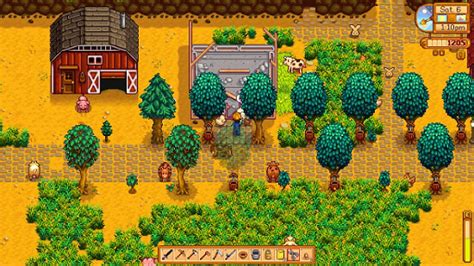 Cactus seeds are a type of seed. Stardew Valley: Cave - What to Choose Mushrooms or Fruit ...