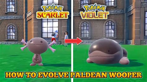 How To Evolve Paldean Wooper Into Clodsire In Pokemon Scarlet And Violet Youtube