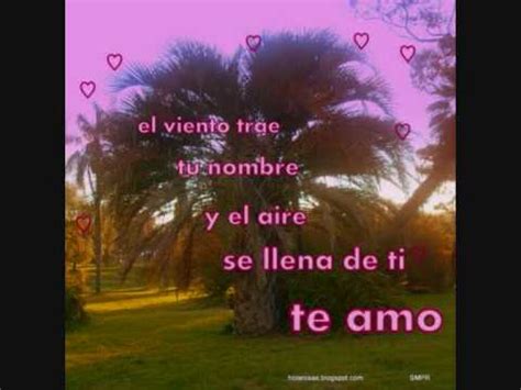 We did not find results for: MI AMOR SIEMPRE SERAS TU.wmv - YouTube