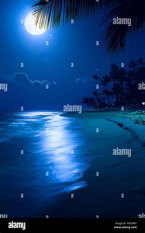 Romantic Moonlight Beach