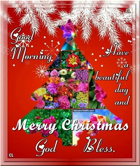 Good Morning Merry Christmas God Bless Pictures Photos And Images For