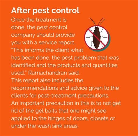 How do i prepare for a pest control visit? Why do the cockroaches keep coming back? All you need to ...