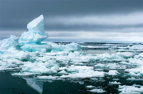 Arctic Sea Ice Photograph By Louise Murrayscience Photo Library Fine