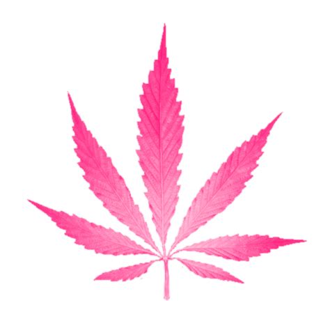 Does THC Hit Ovulating Women Harder? - Stoner Things png image