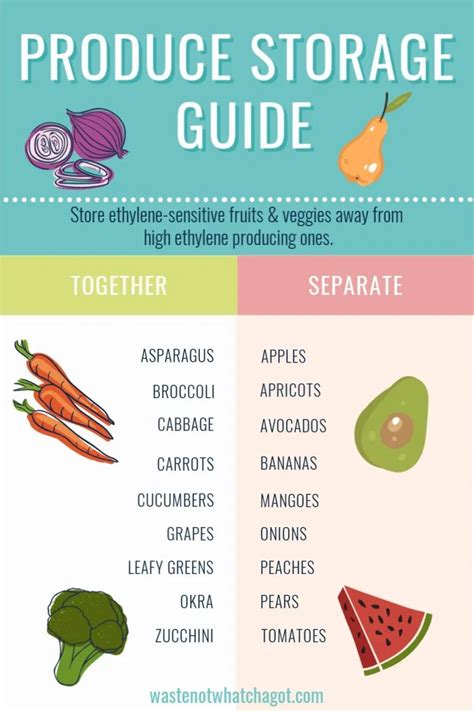 Here Is A Good Food Waste Infographic For How To Store Fresh Fruits And