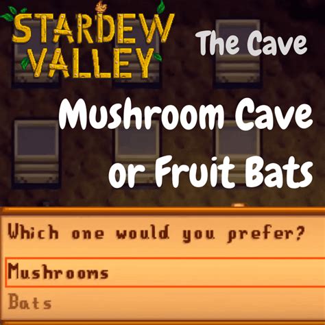 Mushrooms Or Fruit Bats - All Mushroom Info