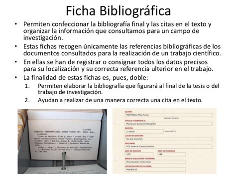 Ejemplos De Fichas Bibliograficas Ejemplodeorg Images