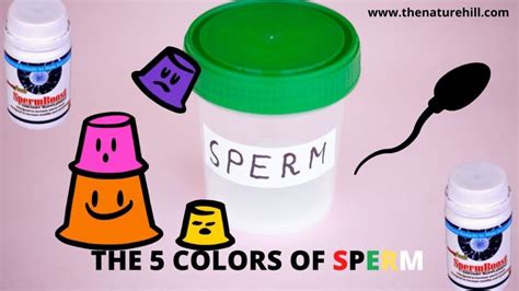 The 5 Colors Of Sperm With Video Thenaturehill Your Online