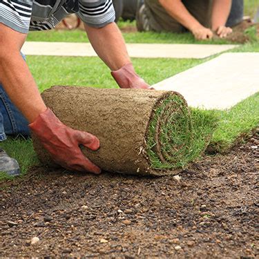 Find pest control services in hartford, ct for home & commercial pest control, bug and animal removal, ant control, termite inspections and treatment, animal control and dead animal removal, and more. Gallery: Landscaping, Concrete Curbing and Fertilization ...