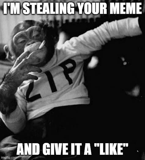 Steal Meme Zip Imgflip