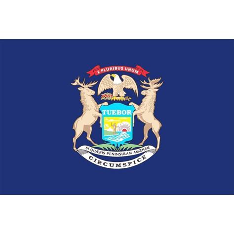 State Of Michigan Flag Mi Flags For Sale Outdoor Nylon