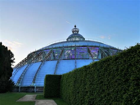 De serres werden in art nouveau gebouwd door alphonse balat in opdracht van leopold ii. Uit in eigen land: De Koninklijke Serres van Laken in Brussel