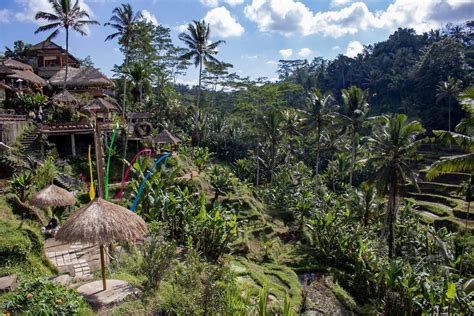 Ubud Bali In 3 Days Wander Off The Beaten Path