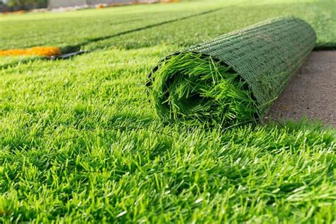 Artificial Grass For Dogs The Top Choice For Low Maintenance Pet