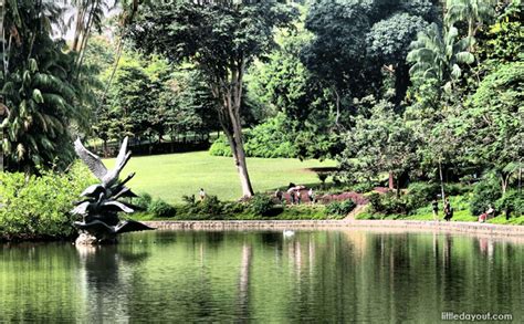 Singapore Botanic Gardens Heritage Festival 2020 7 Things To Look