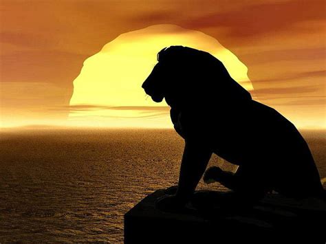 Lion King King Sunset Lion Animal Hd Wallpaper Peakpx