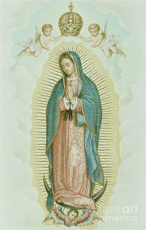 Our Lady Of Guadalupe Drawing By French School