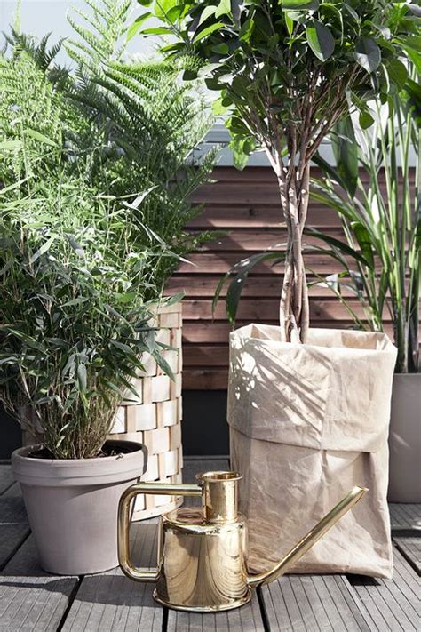 Follow these tips and indoor gardening ideas to turn even the smallest apartment into a green jungle with a thriving indoor vegetable garden or terrariums. 18 Creative Small Garden Ideas - Indoor and Outdoor Garden ...