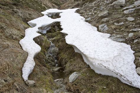 Melting Snow Stock Image C0253908 Science Photo Library