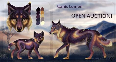 Closed Auction Canis Lumen 109 By Khaliaart On Deviantart