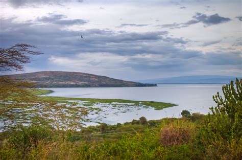 Lake Naivasha Kenya Natural Landmarks Nature Lake