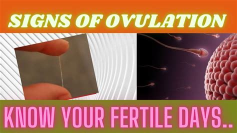 👉signs of ovulation [know your fertile days] womenshealth youtube