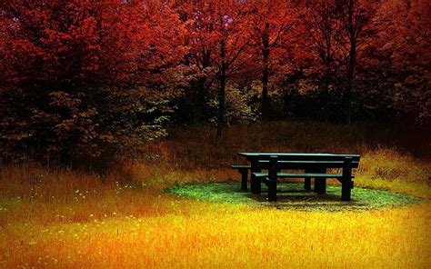 1920x1200 Bench Fall Trees Wallpaper Coolwallpapersme
