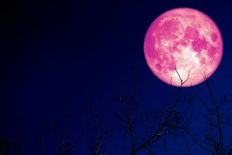 Since the super pink moon 2021 will be a big and bright moon, it's worth capturing on our smartphones. 2021's first supermoon: The Pink Moon will light up the ...