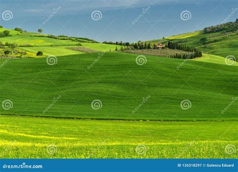 Tuscany Landscape In The Spring Time With Green Field Stock Image