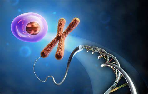 Синдром Жильбера: что это такое простыми словами, чем опасен, как Картинка - Синдром Жильбера: что это такое простыми словами, чем опасен, как