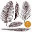Hand Drawn Feathers Set 471552  Download Free Vectors Clipart