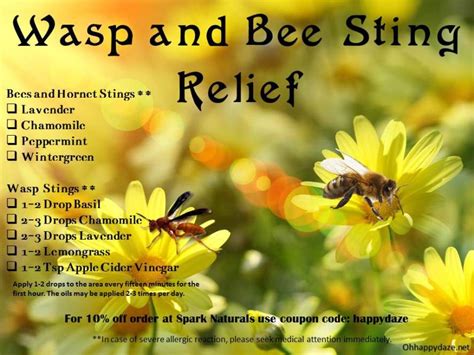 Wasp And Bee Sting Relief Sting Relief Bee Sting Relief Remedies