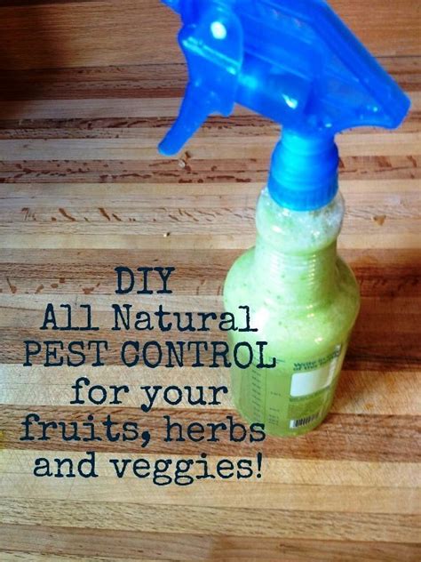 We Are Starting Our Round Up Of Homemade Garden Pest Control Sprays