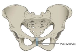 Relieving Pubic Symphysis Pain During After Pregnancy Beyond Birthing