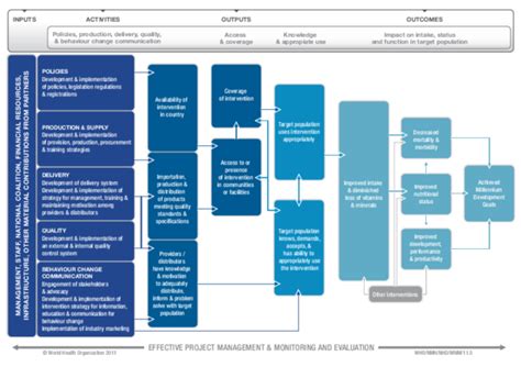 Pdf Whocdc Logic Model For Micronutrient Interventions In Public