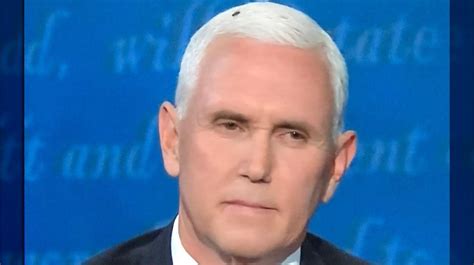 did a fly get stuck in mike pence s hair during the debate
