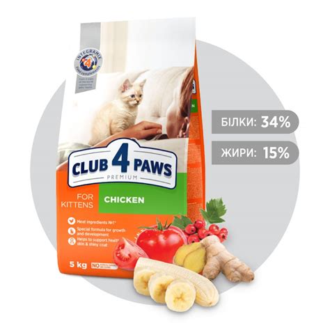 Club 4 Paws Premium Kitten Сухой корм для котят купить в Киеве по цене