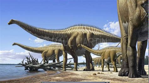 Sauropods The Largest Known Land Animals Science Facts