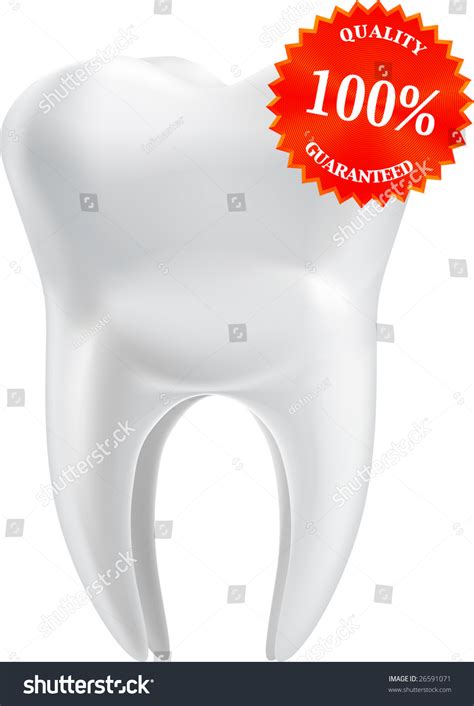 Vector Image Perfect Tooth Illustration Contains Stock Vector Royalty