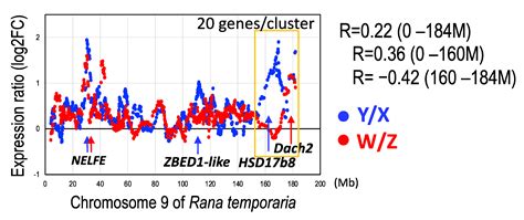 genes free full text parallel evolution of sex linked genes across xx xy and zz zw sex