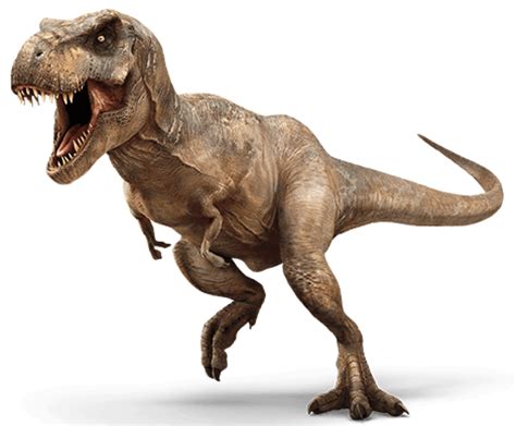 Velociraptor Spinosaurus Tyrannosaurus Rex Carnotaurus Triceratops Png