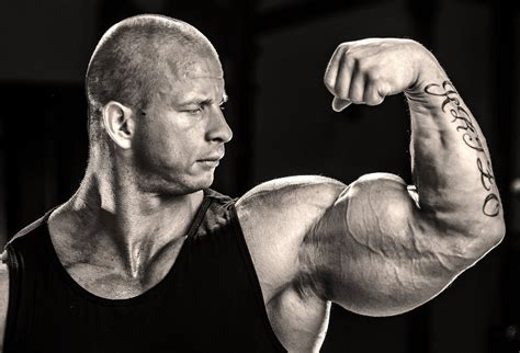 Muscle Lover Biceps And Biceps By Ifbb Elite Pro Michal Krizanek