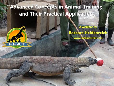 Webinar Recordings Barbaras Force Free Animal Training
