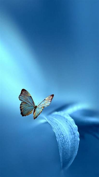 Butterfly Iphone Backgrounds Mobile Phone Desktop Animal