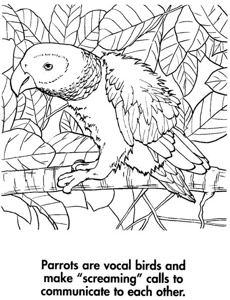Sport Life Planet Earth Coloring Book Awesome Animals 95 Pics