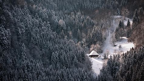 Snowy Black Forest Winter Wallpaper 1920×1080 1