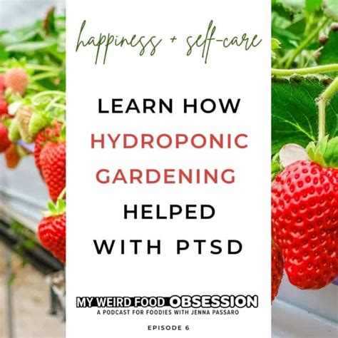 How Hydroponic Gardening As A Food Hobby Helped With Ptsd Sip Bite Go