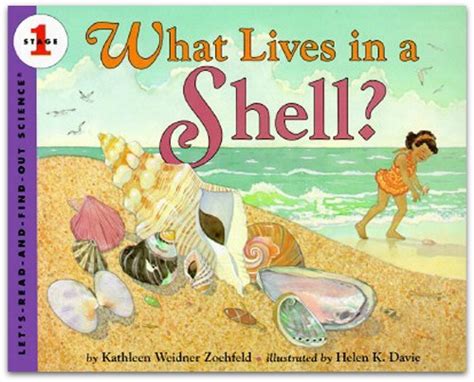Beach And Ocean Books For Preschool Beach Books For Kids Preschool