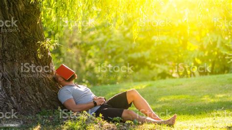 Ein Junger Mann Schläft Unter Dem Baum Mit Dem Buch Auf Seinem Gesicht Stockfoto Und Mehr Bilder